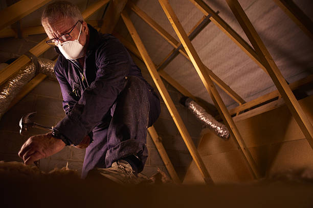 Types of Insulation We Offer in West Richland, WA